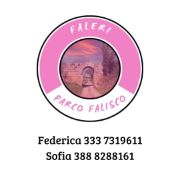 parco falisco